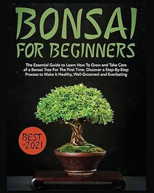 Amazon Prime Publishing 